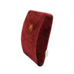 پشت کمری خودرویی هوشمند