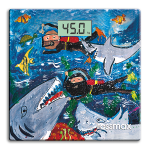 ترازو دیجیتال رزمکس WB102