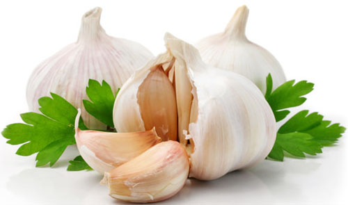 garlic www.downloadpicture.ir 11